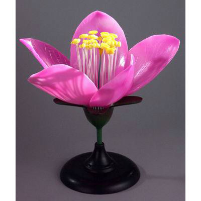 Peach Flower Model