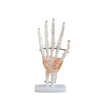 Functional Hand Joints