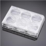 Load image into Gallery viewer, Tissue Culture Test Plates
