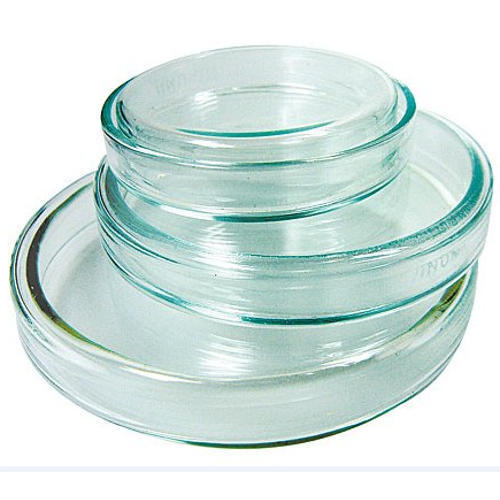 Dishes Petri Glass