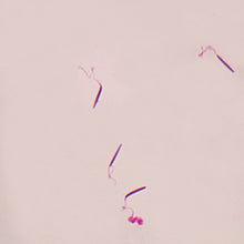 Load image into Gallery viewer, Slide Of Frog Sperm
