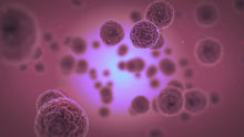 Load image into Gallery viewer, Slide Of Virus
