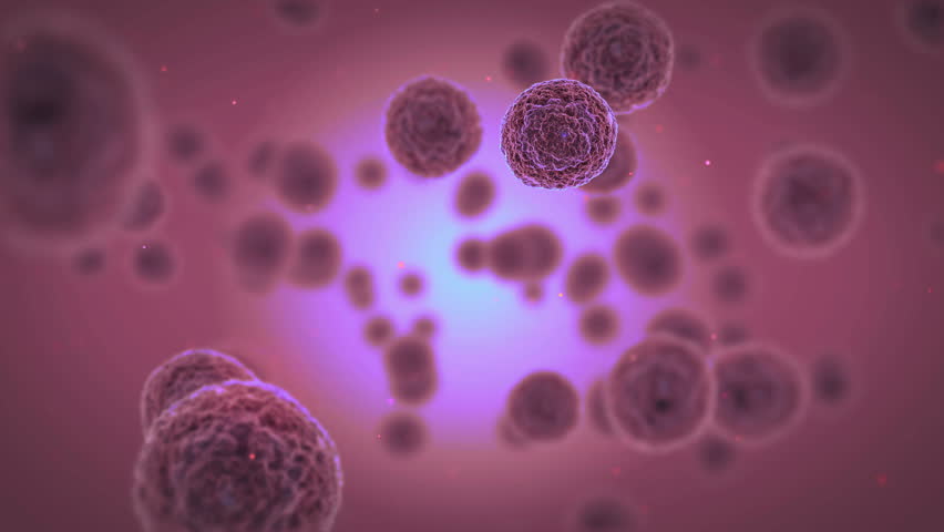 Slide Of Virus